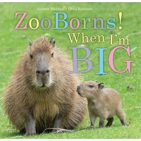When I'm Big (ZooBorns!)