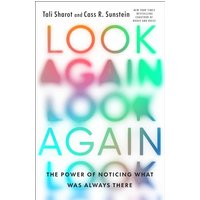 Look Again: The Power of Noticing What Was Always There