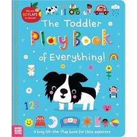 The Toddler Play Book of Everything!