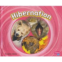Hibernation (Cycles of Nature)