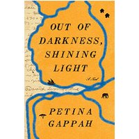 Out of Darkness, Shining Light A Novel
