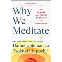 Why We Meditate: The Science and Practice of Clarity and Compassion