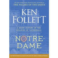 Notre-Dame: A Short History of the Meaning of Cathedrals