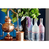 Make Your Own Gin Experience with Gin Works plus Voucher for a Tour of Tenterden Vineyard for Two