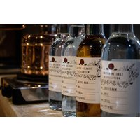 Make Your Own Gin or Rum for Two People at The Spirit of Wales Distillery