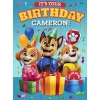 Paw Patrol It's Your Birthday Illustrated Card