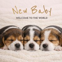 Moonpig Photographic Sleeping Puppies Welcome To The World New Baby Card