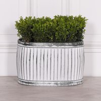 Click to view product details and reviews for Cardiff Metal Planter Tub Oval Small. Click to view product details and reviews for Cardiff Metal Planter Tub Oval Small.