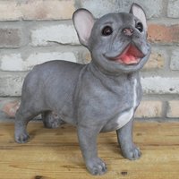 Click to view product details and reviews for Grey Frenchie Statue Set Of 2 Resin. Click to view product details and reviews for Grey Frenchie Statue Set Of 2 Resin.