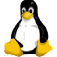 Express Linux VPS