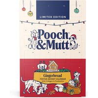 Gingerbread Advent Calendar For Dogs 2026