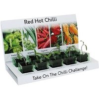 Grow Your Own Chilli Kit