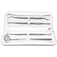Glamza 4-Piece Stainless Steel Dental Kit with Case