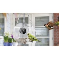Smart Hanging Bird Feeder - 3 Styles