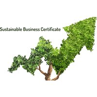 Online Sustainable Business Certificate