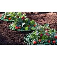 Garden Gear Strawberry Support Frame - 5 or 10-Pack!