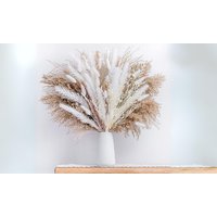 50-Piece Elegant Dried Pampas Grass Set