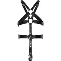 geschirr-mit-penis-und-hodenring