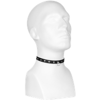 Nietenhalsband