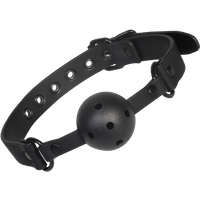 ball-gag