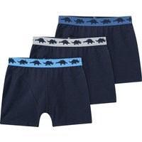 3 Jungen Boxer mit Dinos