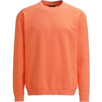 Herren Sweatshirt unifarben