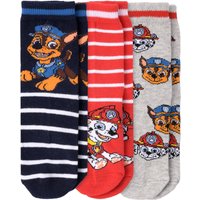 3 Paar PAW Patrol Socken im Set