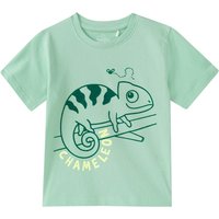 Jungen T-Shirt mit Chamäleon-Motiv