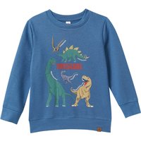 Kinder Sweatshirt mit Dinosaurier-Prints