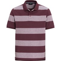 Herren Poloshirt mit breiten Streifen