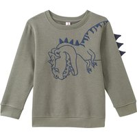 Jungen Sweatshirt mit Dino-Motiv