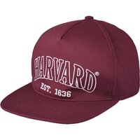 Harvard Kappe mit Stickerei