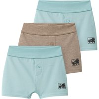 3 Baby Boxer mit Baustellen-Fahrzeugen