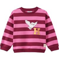 Harry Potter Sweatshirt mit Streifen