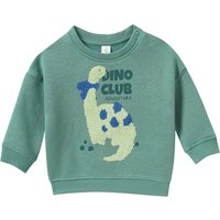 Baby Sweatshirt mit Dino-Applikation
