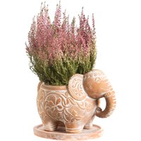 Terracotta Elephant Planter