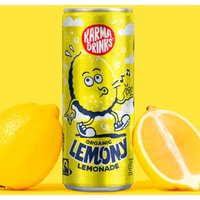 Fairtrade Lemony Lemonade - 250ml