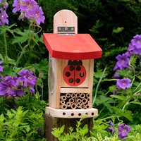 Ladybird & Insect Lodge