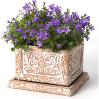 Terracotta Planter