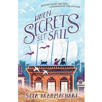 When Secrets Set Sail Paperback Book
