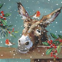 Donkey and Robin Charity Christmas Cards - Pack of 10