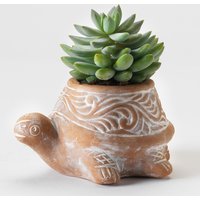 Terracotta Tortoise Planter