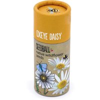 Seedball Tube - Oxeye Daisy