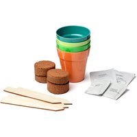 Grow Your Own Bee and Butterfly Garden Kit Gift Bag