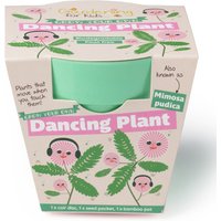 Childrens Grow Your Own Dancing Plant Growing Kit