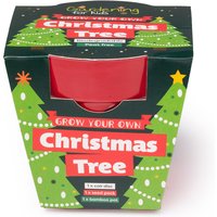 Childrens Grow Your Own Christmas Tree Growing Kit