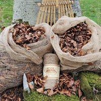 Leaf Collecting Sacks - Pack of 2