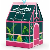 Hanging Grow Kit Gift Set - Greenhouse Herbs Basil