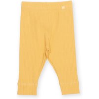 Kite Little Ted Leggings