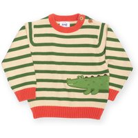 Kite Coach Croc Jumper